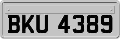 BKU4389