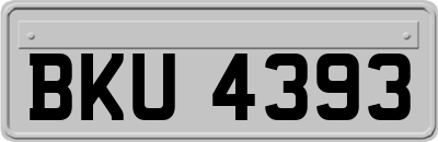 BKU4393