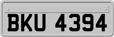 BKU4394