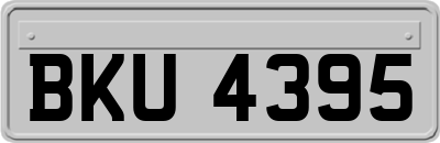 BKU4395