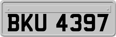 BKU4397