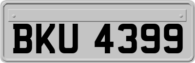 BKU4399