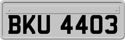BKU4403