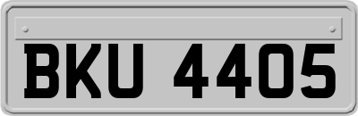 BKU4405
