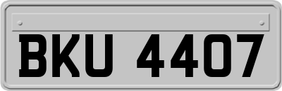 BKU4407