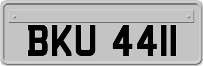 BKU4411