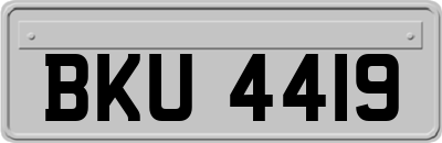 BKU4419