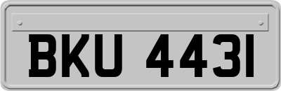 BKU4431