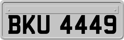 BKU4449