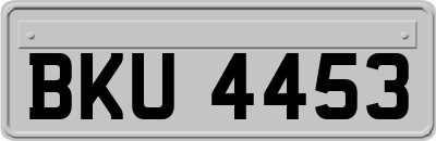 BKU4453