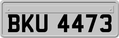 BKU4473