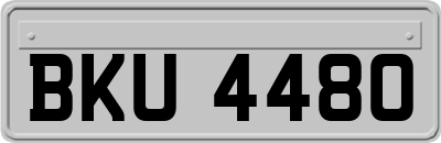 BKU4480