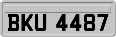 BKU4487
