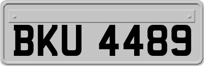 BKU4489