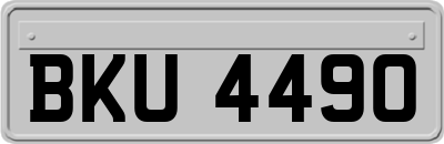 BKU4490