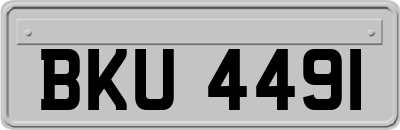 BKU4491
