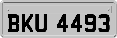 BKU4493