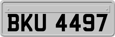 BKU4497