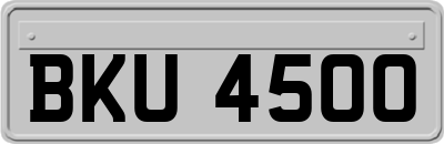 BKU4500