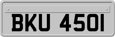BKU4501