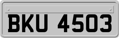 BKU4503