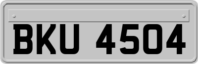 BKU4504
