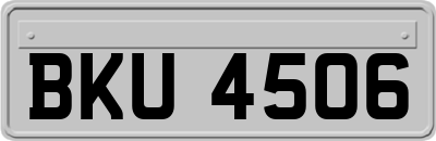 BKU4506