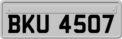 BKU4507