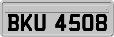 BKU4508