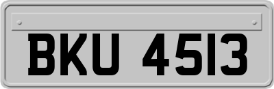 BKU4513