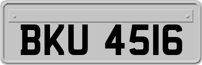BKU4516