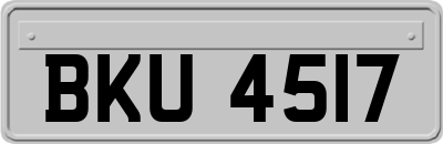 BKU4517