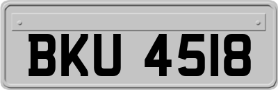 BKU4518
