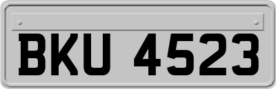 BKU4523