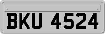 BKU4524