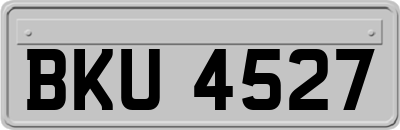 BKU4527