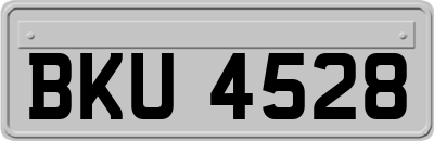 BKU4528