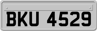 BKU4529