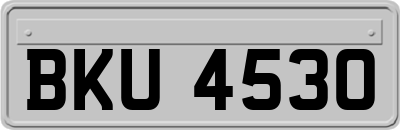 BKU4530