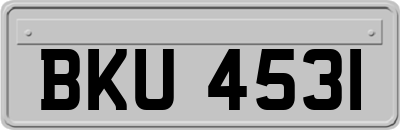 BKU4531