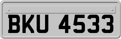 BKU4533