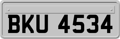 BKU4534