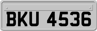 BKU4536