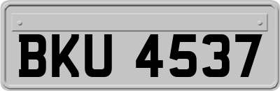 BKU4537
