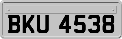 BKU4538