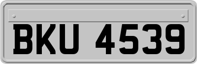 BKU4539