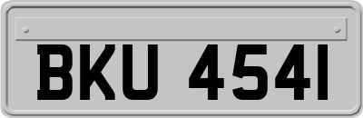 BKU4541