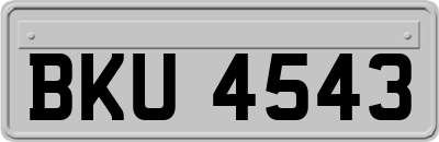 BKU4543