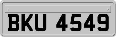 BKU4549