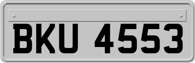 BKU4553